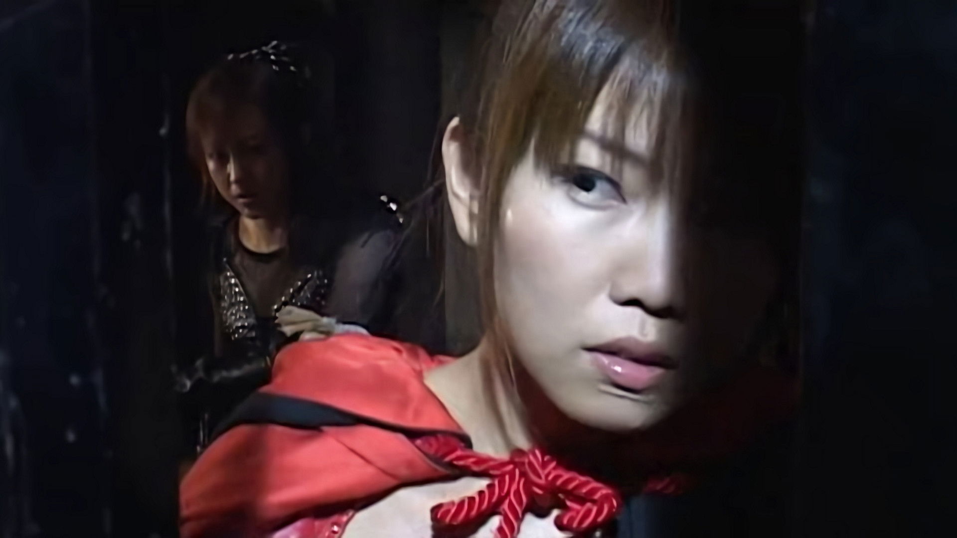 Backdrop for Ninja Vixens: Web of Passion