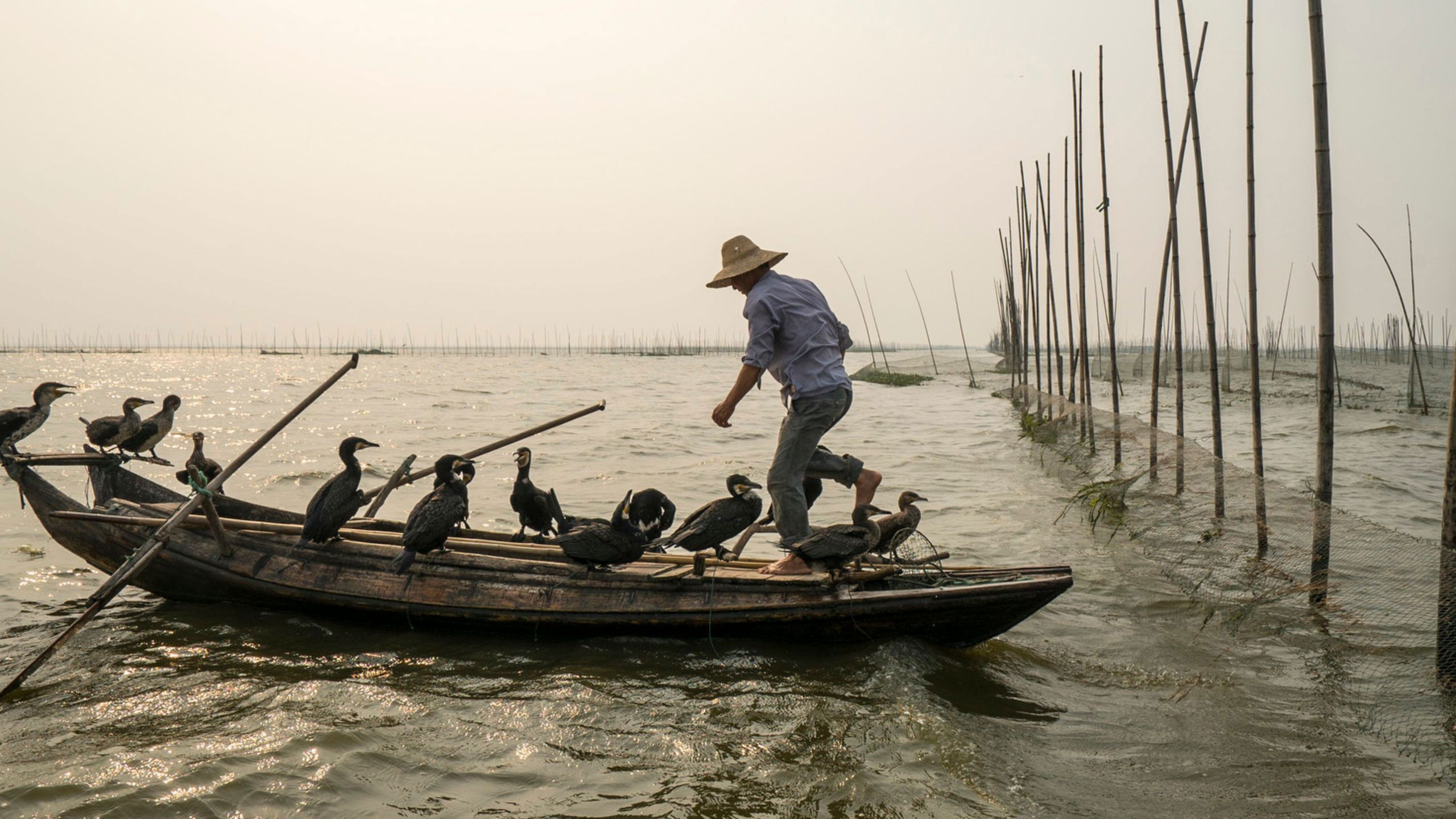 Backdrop for Along the Banks of the Yangtze