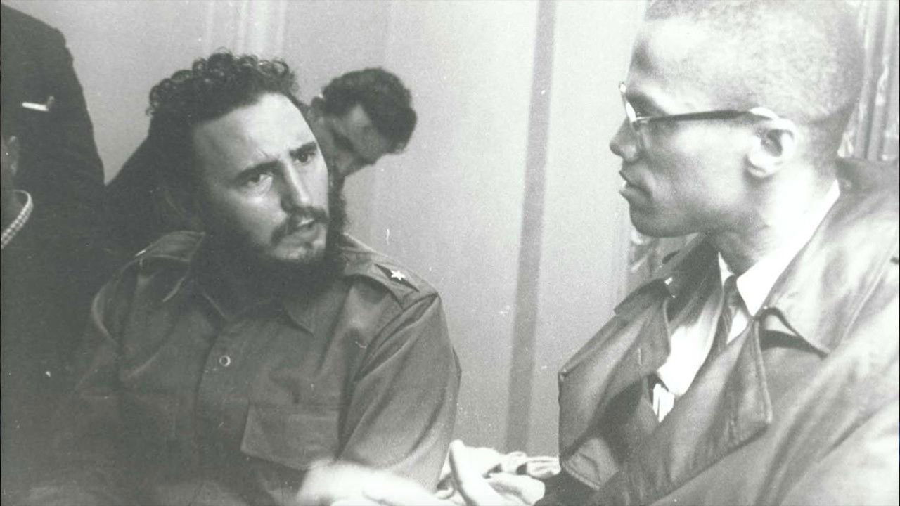 Backdrop for Fidel: The Untold Story