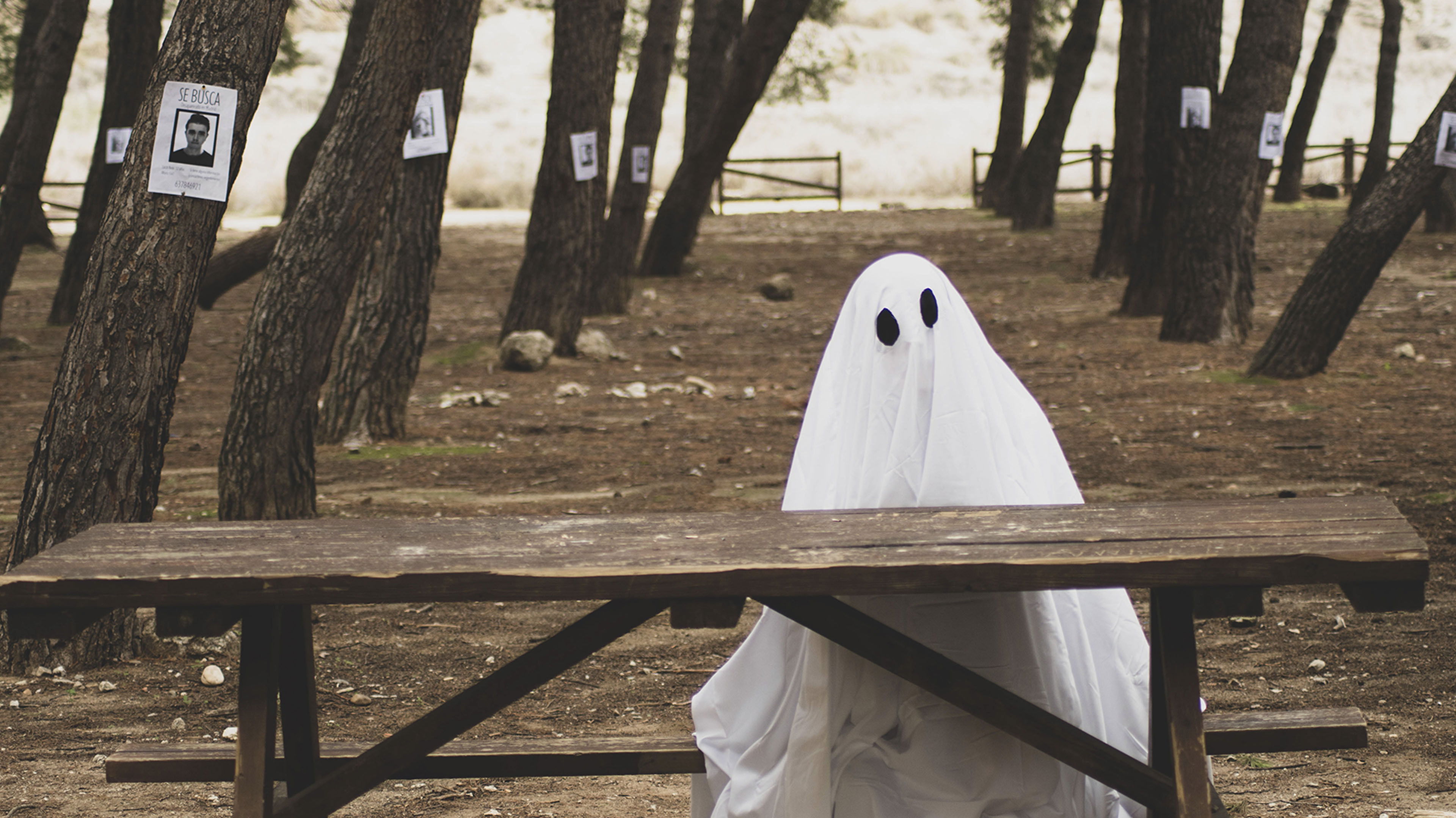 Backdrop for Al norte de la laguna