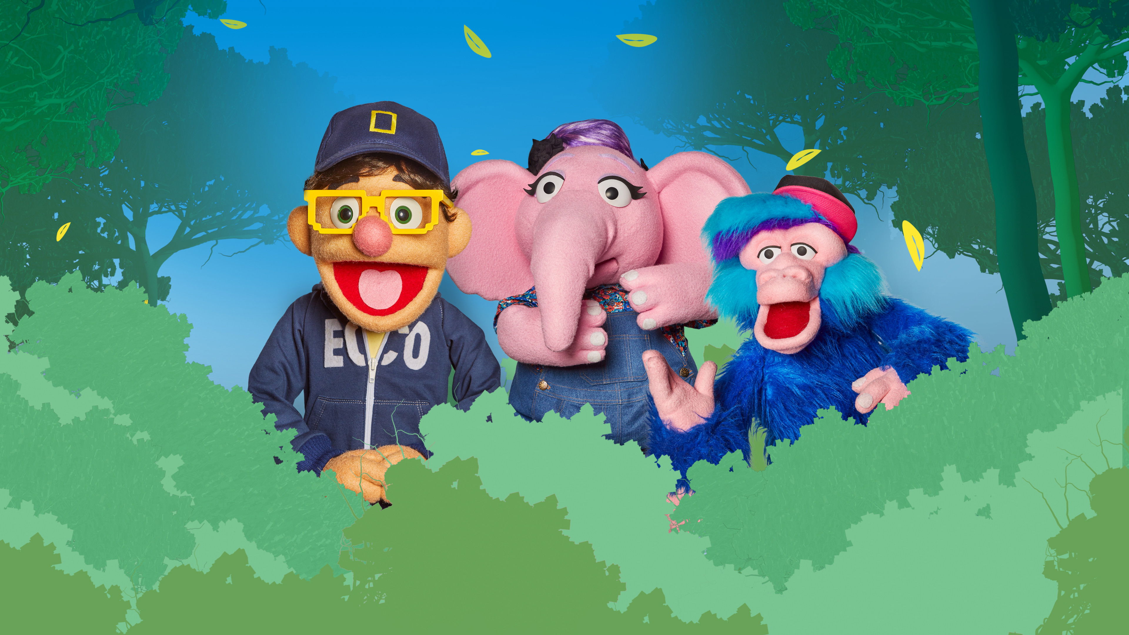 Backdrop for Opa Popa Dupa