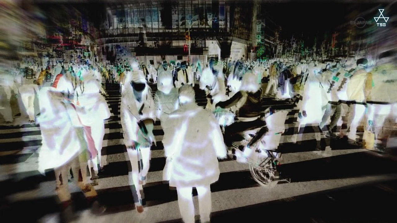 Backdrop for Life for Sale