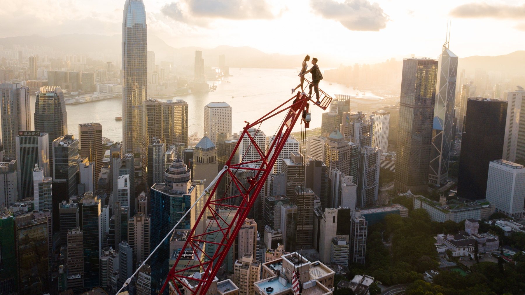 Backdrop for Who's Next?