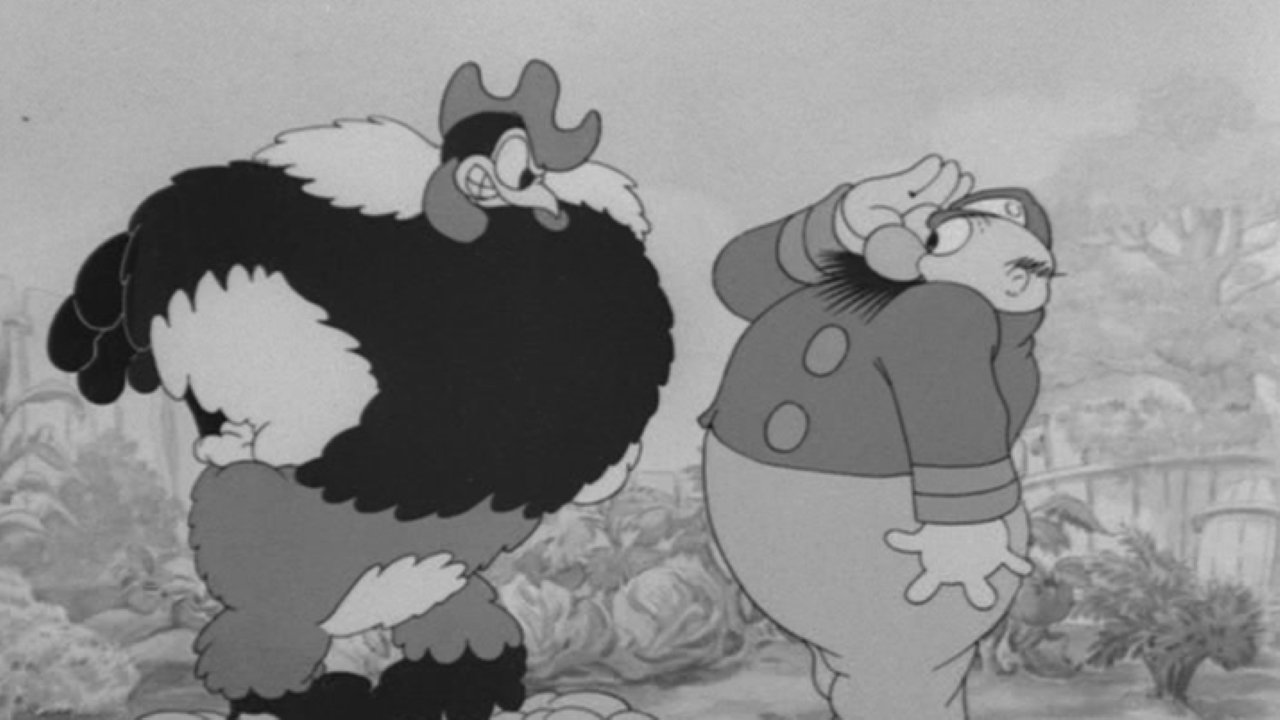 Backdrop for Poultry Pirates