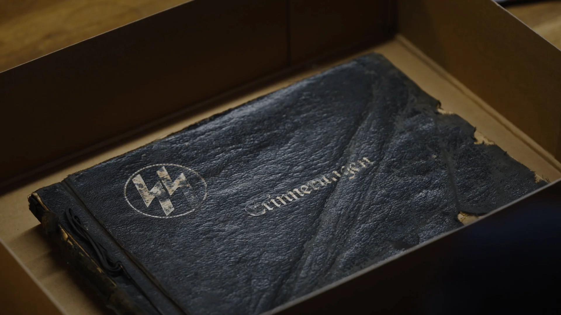 Backdrop for The Lost Album of the SS