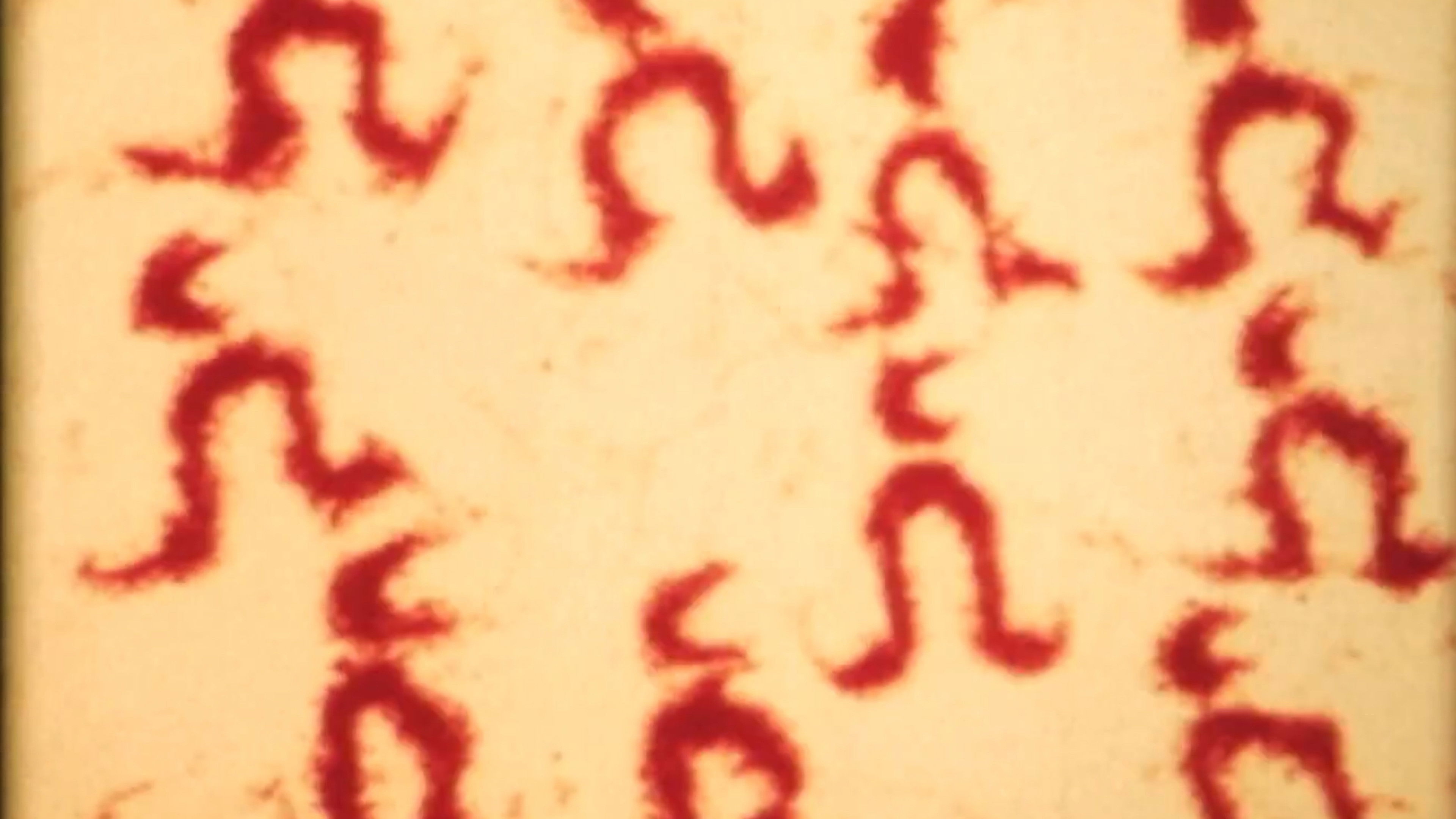 Backdrop for Sandman