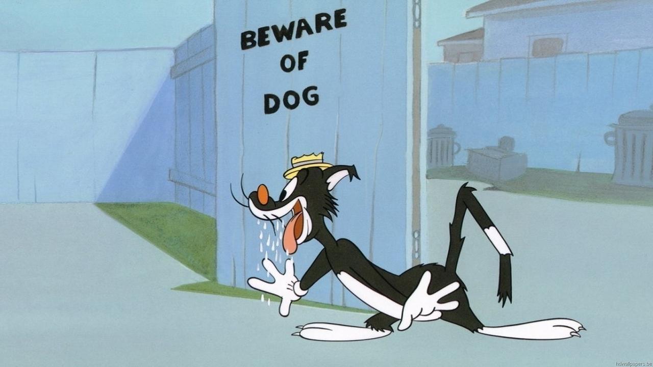 Backdrop for King-Size Canary