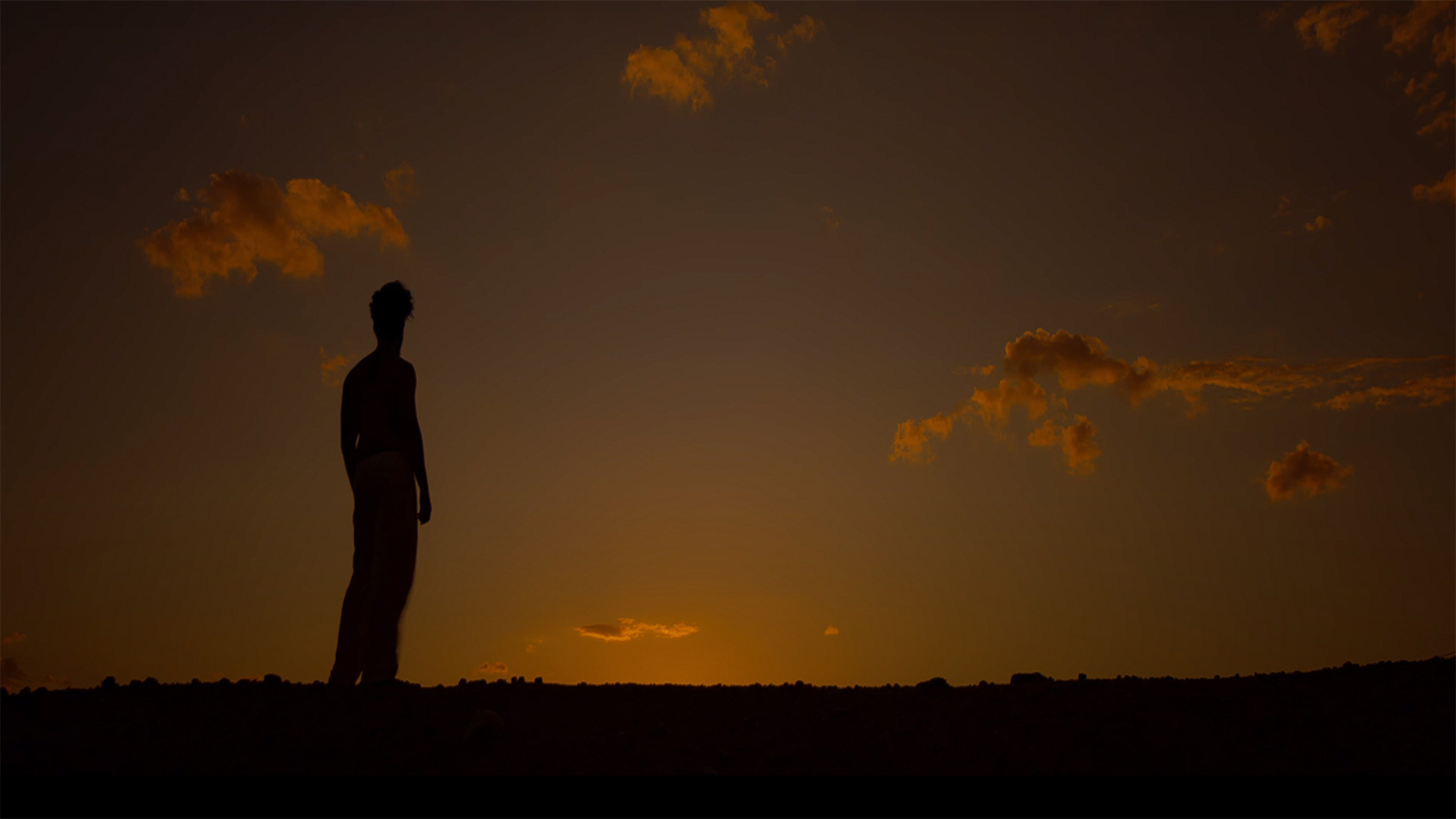 Backdrop for Sertão Fantástico
