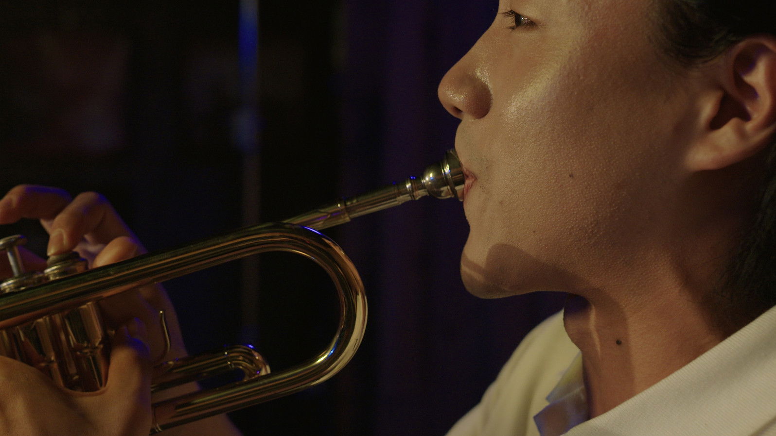 Backdrop for Dear My Trumpet