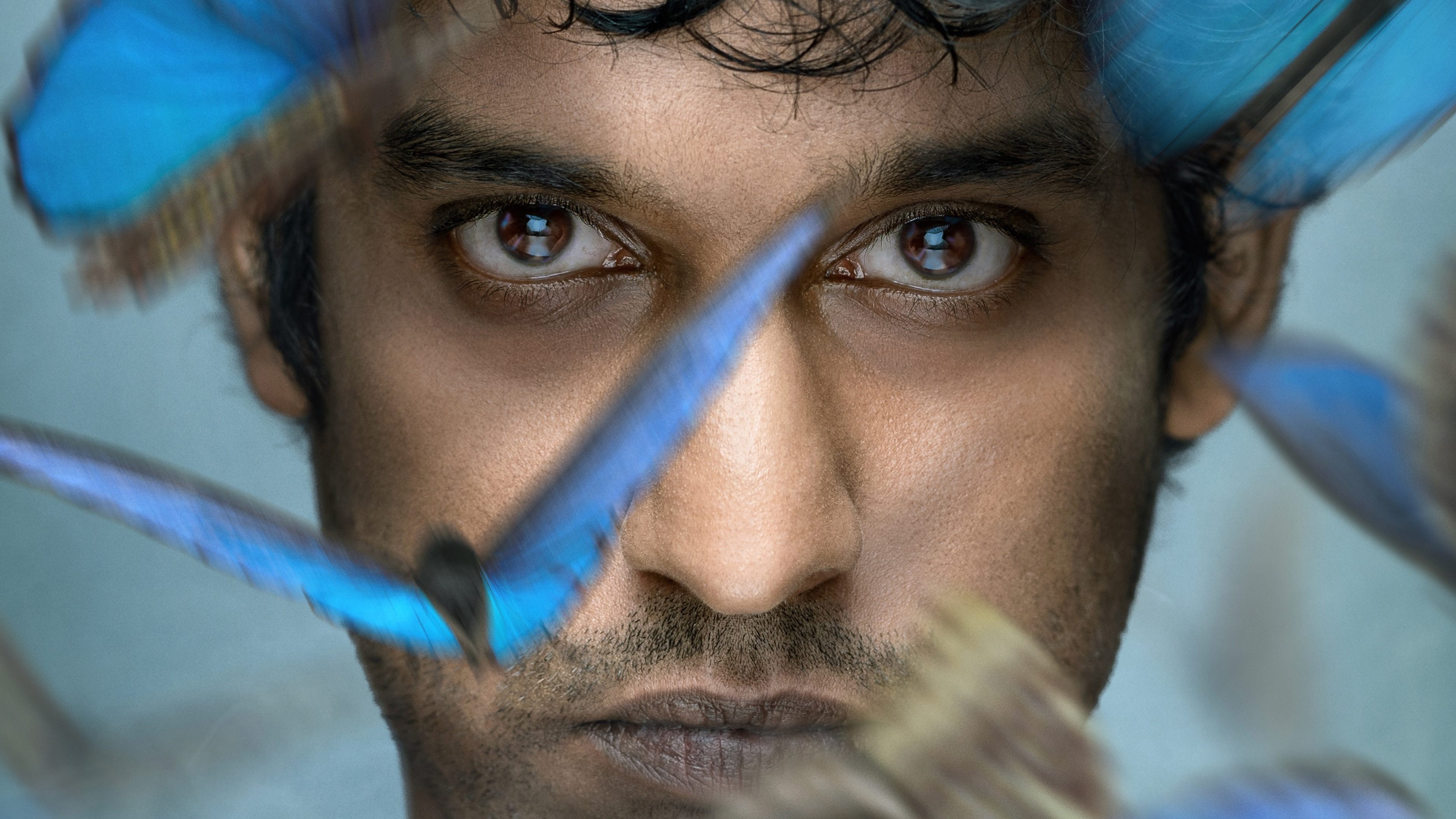 Backdrop for Wakefield