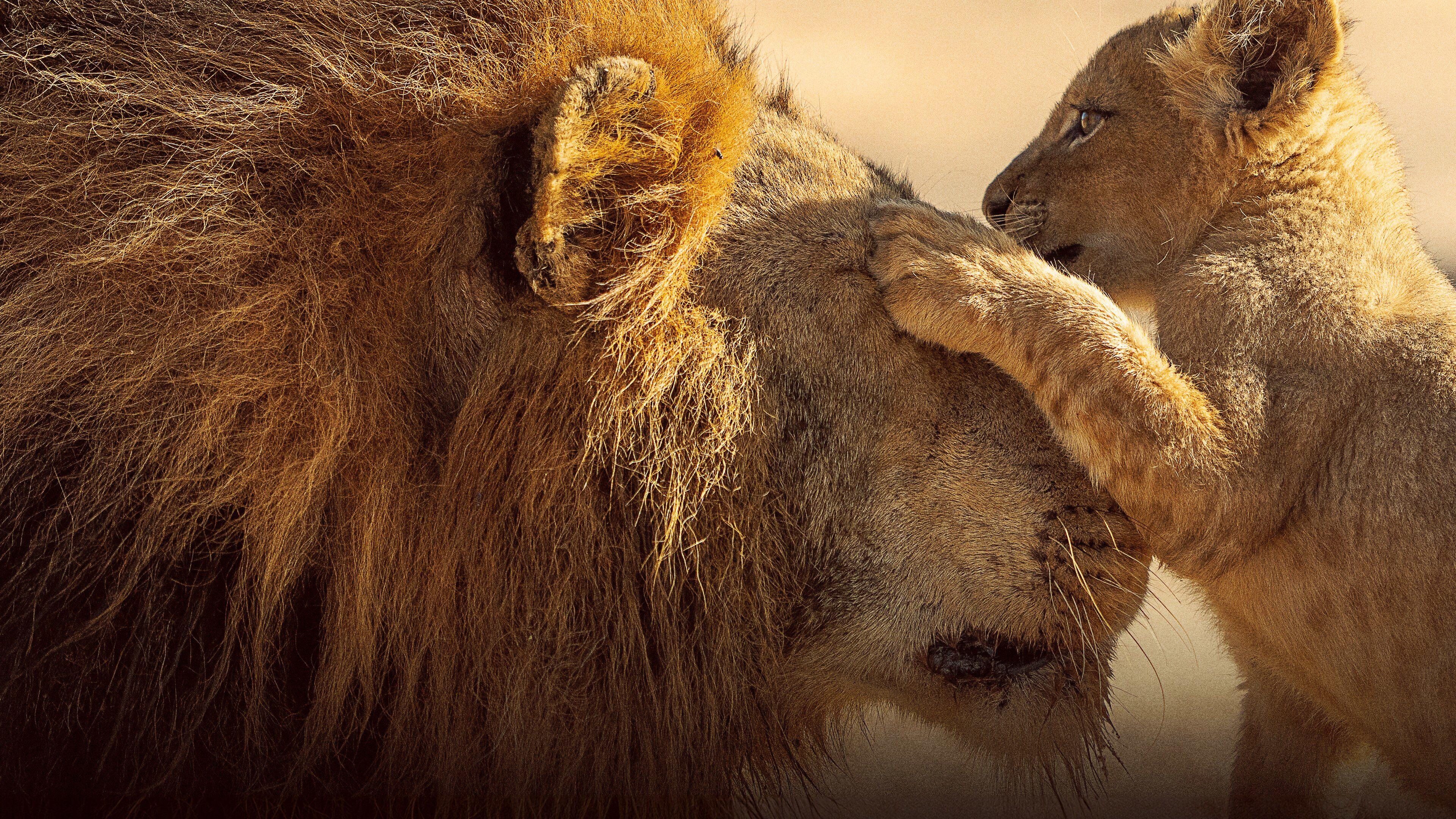 Backdrop for Parenthood