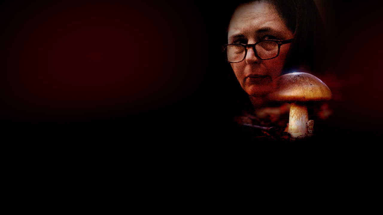 Backdrop for Murder Down Under: Murder by Mushroom