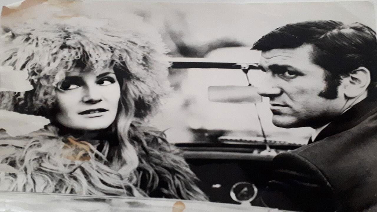 Backdrop for My Crazy Head