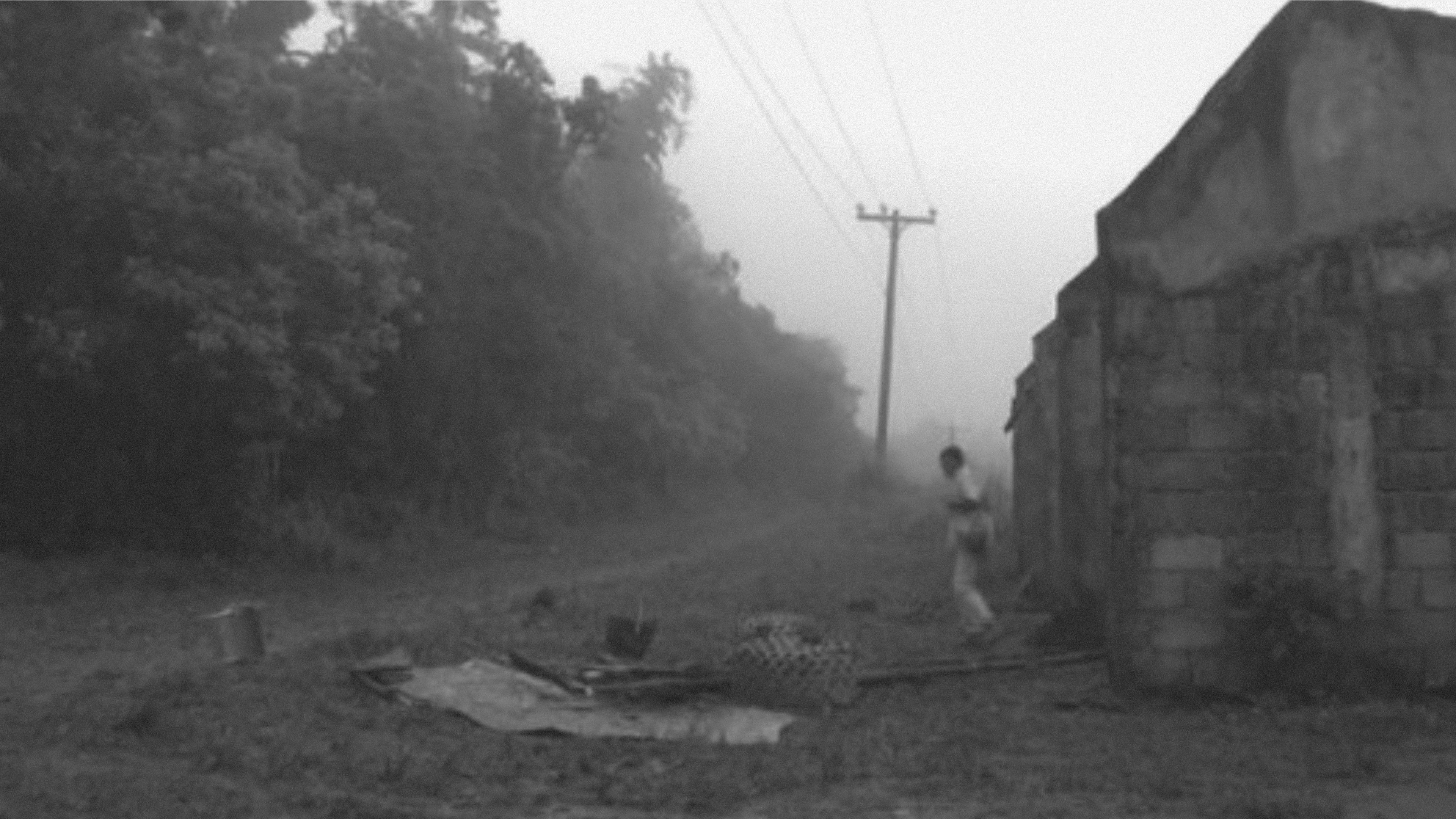 Backdrop for Heremias: Book One - The Legend of the Lizard Princess