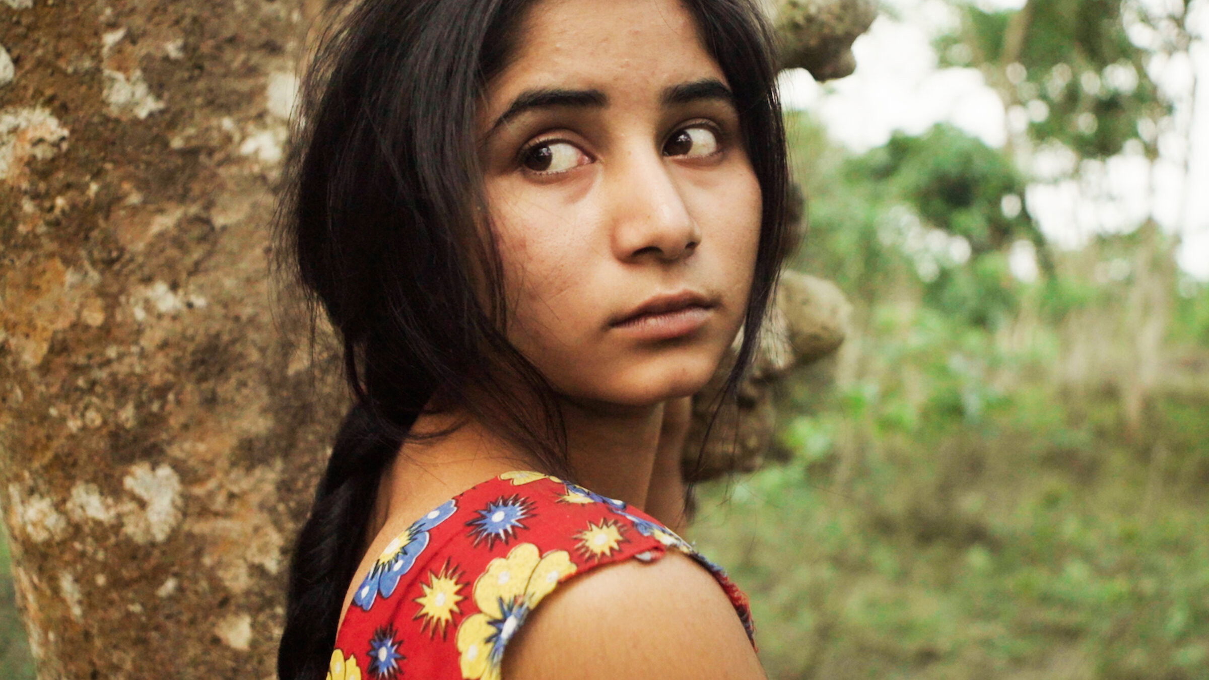 Backdrop for Bulbul Can Sing