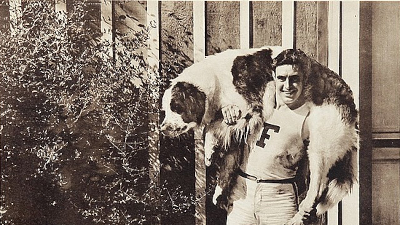 Backdrop for Help! Help! Police!