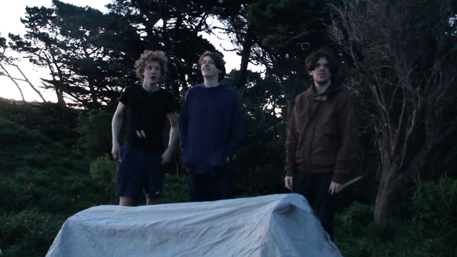 Backdrop for Virus 21