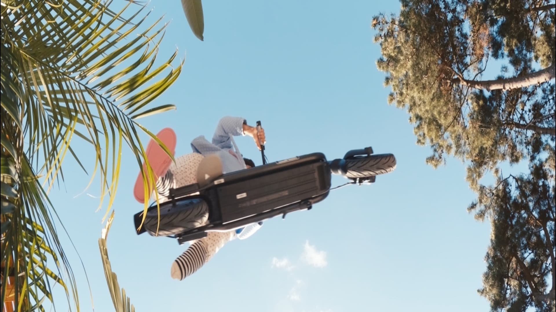 Backdrop for Live and let live