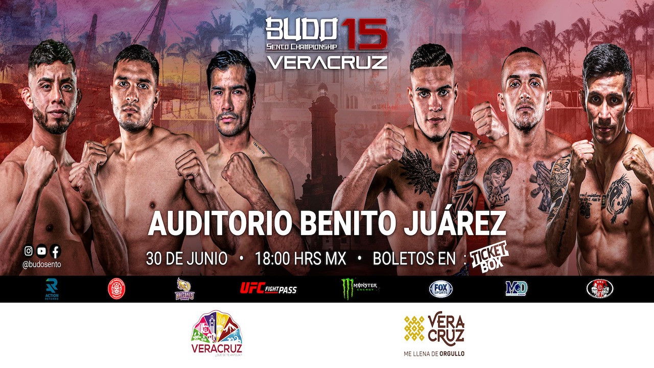 Backdrop for Budo Sento Championship 15