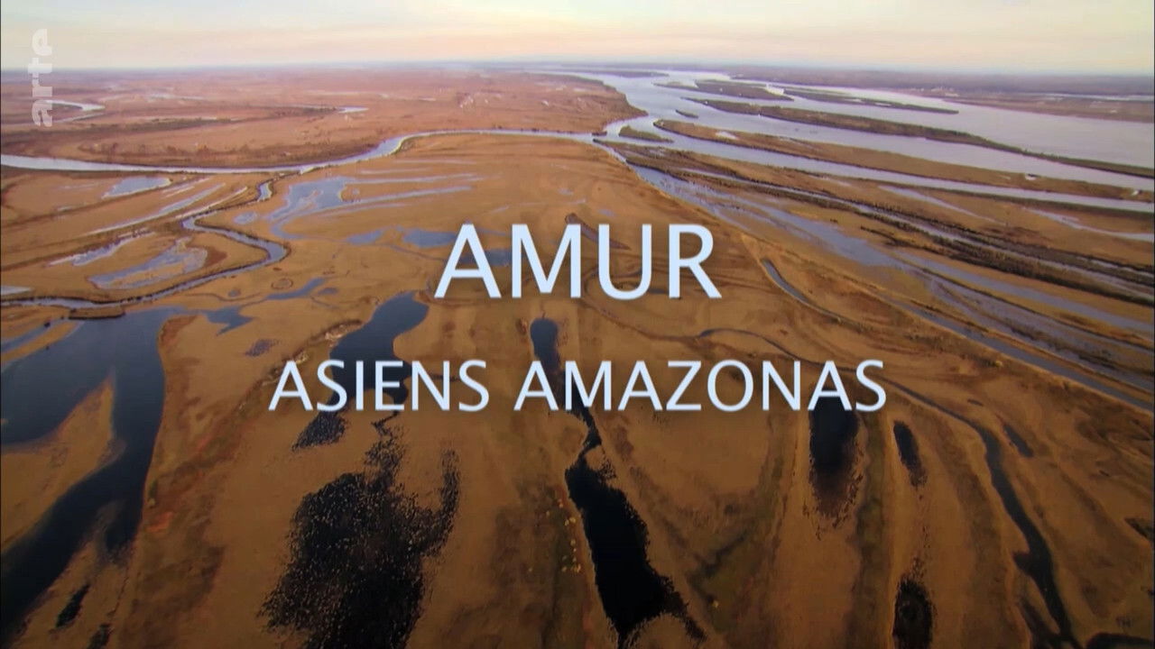 Backdrop for Amur: Asia's Amazon