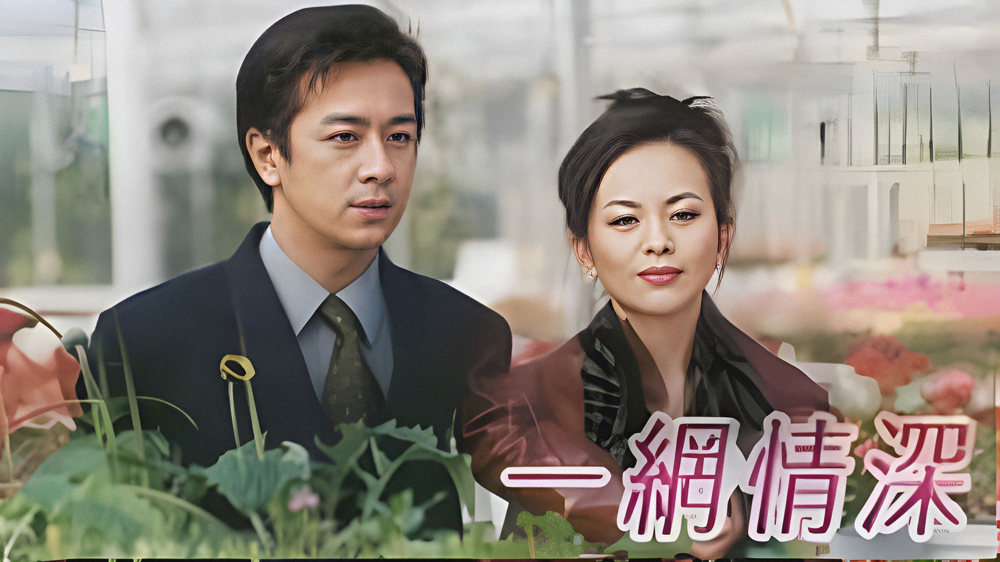 Backdrop for Network Love Story