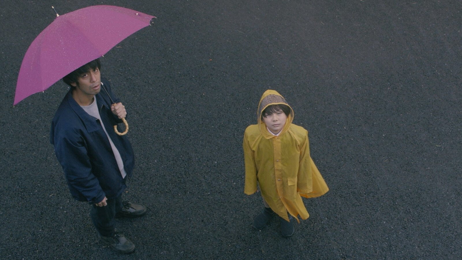 Backdrop for Somebody's Flowers