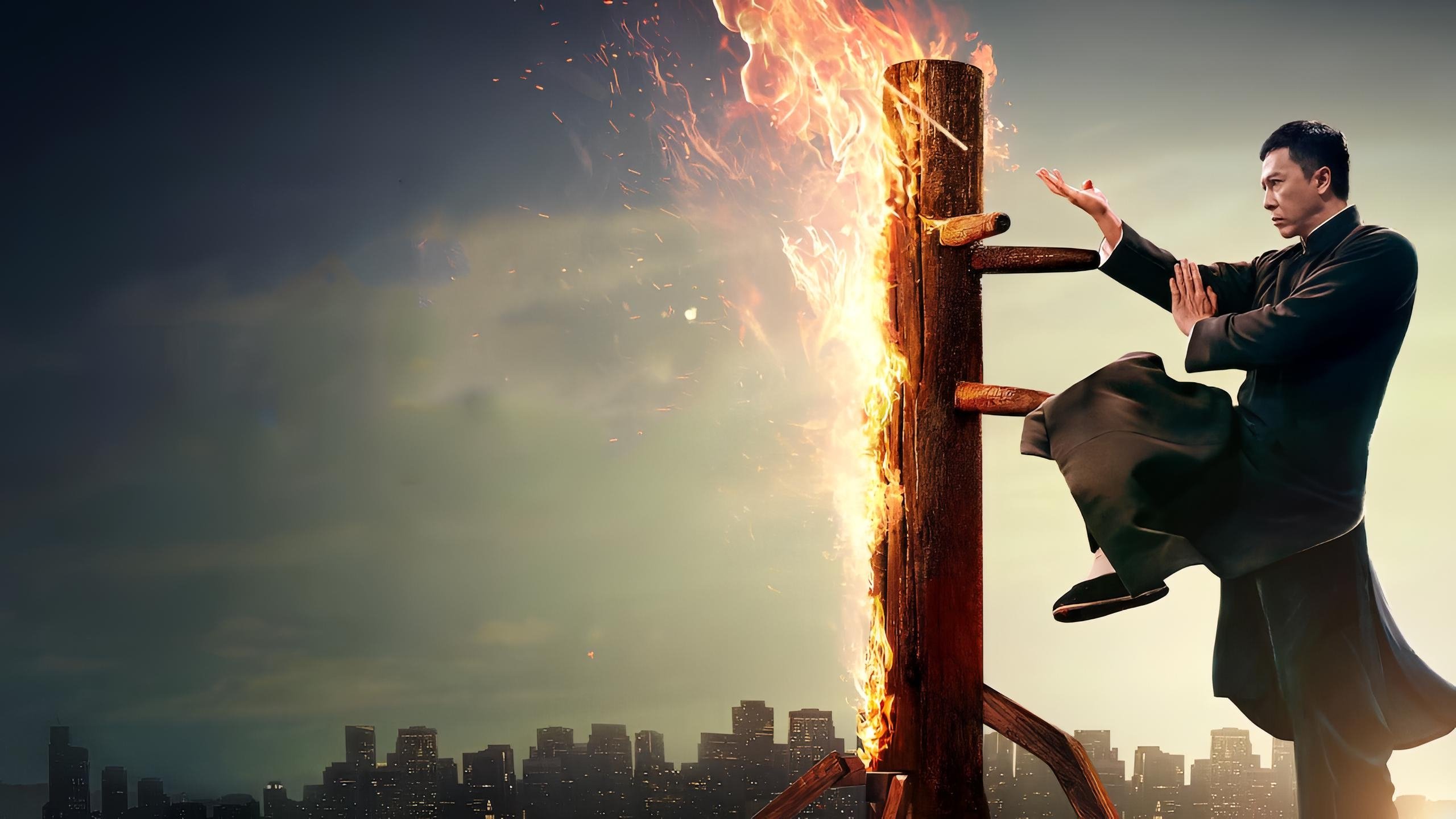 Backdrop for Ip Man 4: The Finale