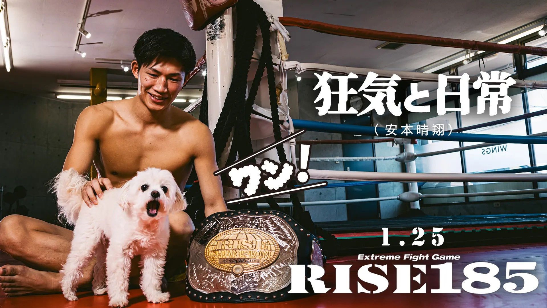 Backdrop for RISE 185