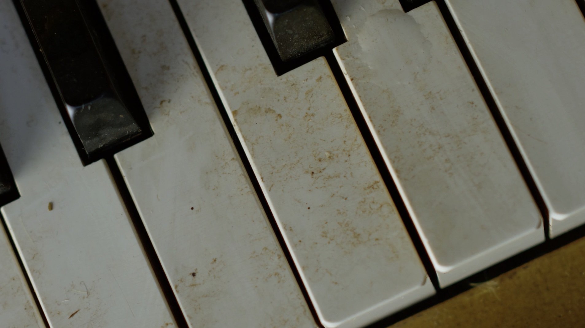 Backdrop for Sentimental Value