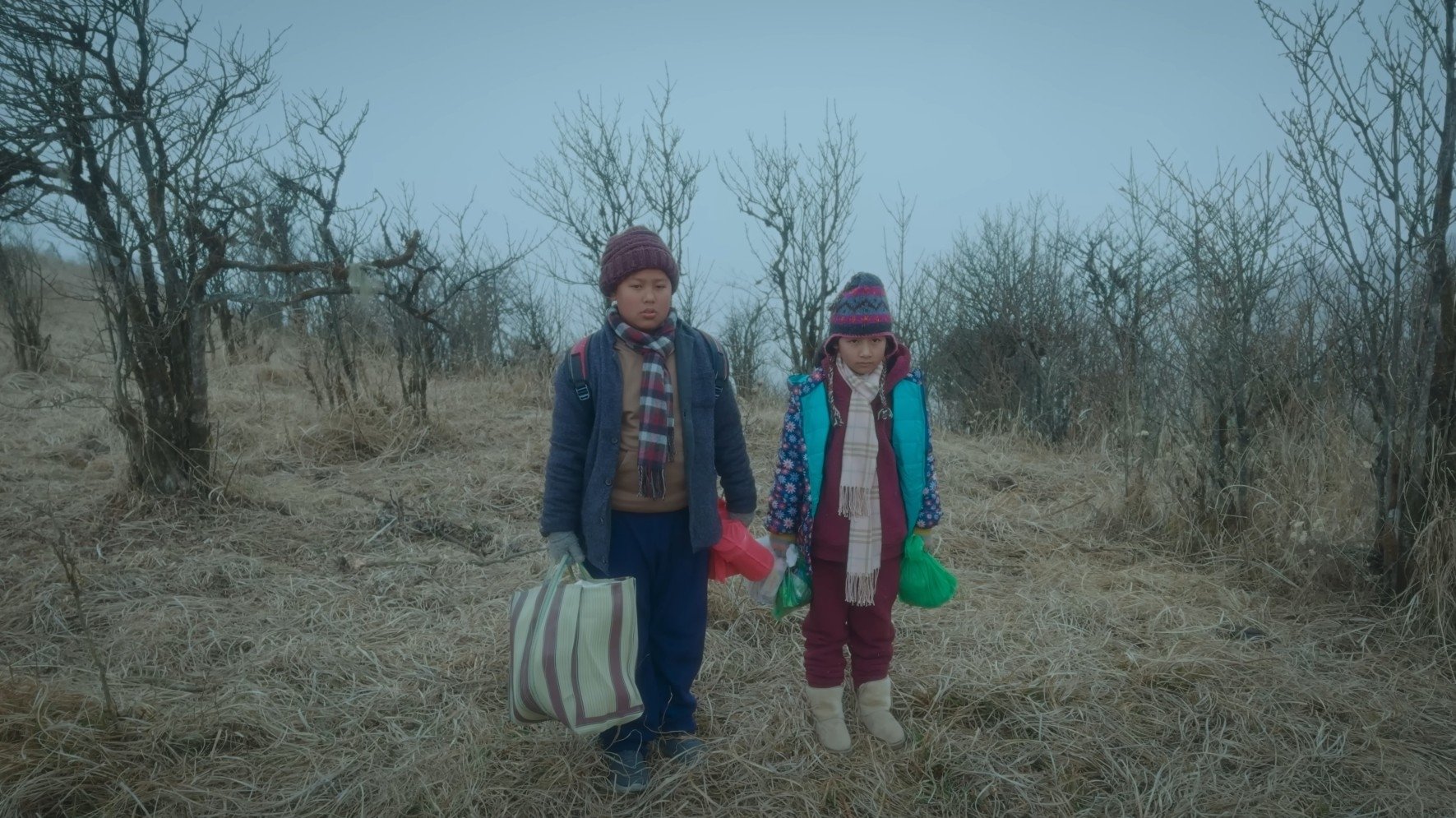 Backdrop for Crossing Borders