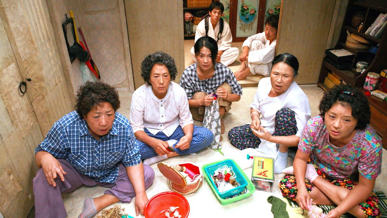 Backdrop for Mapado 2: Back to the Island