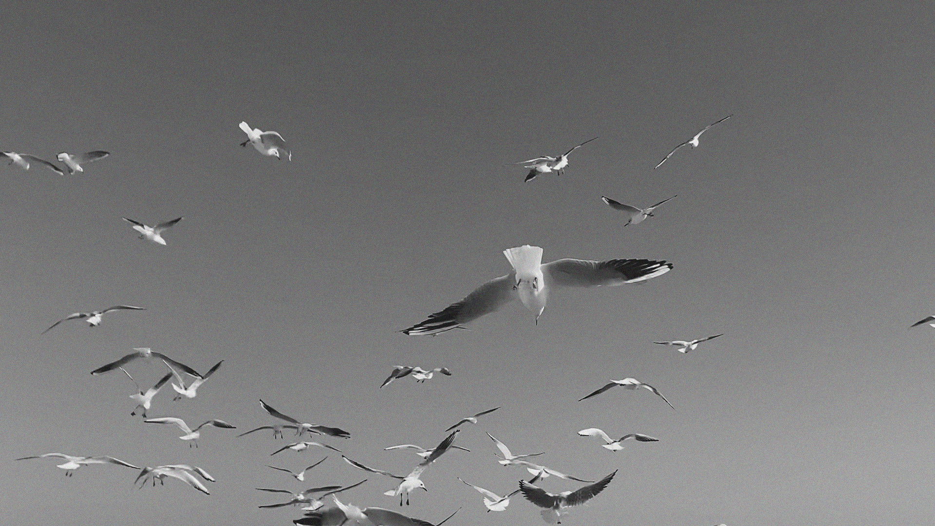 Backdrop for Stones in Cold Water