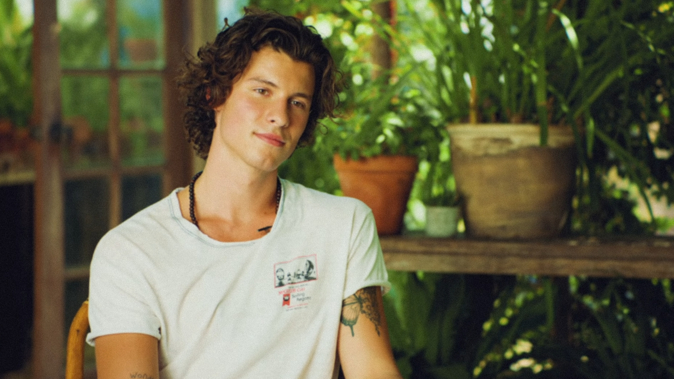 Backdrop for Shawn Mendes: The Wonder Interview