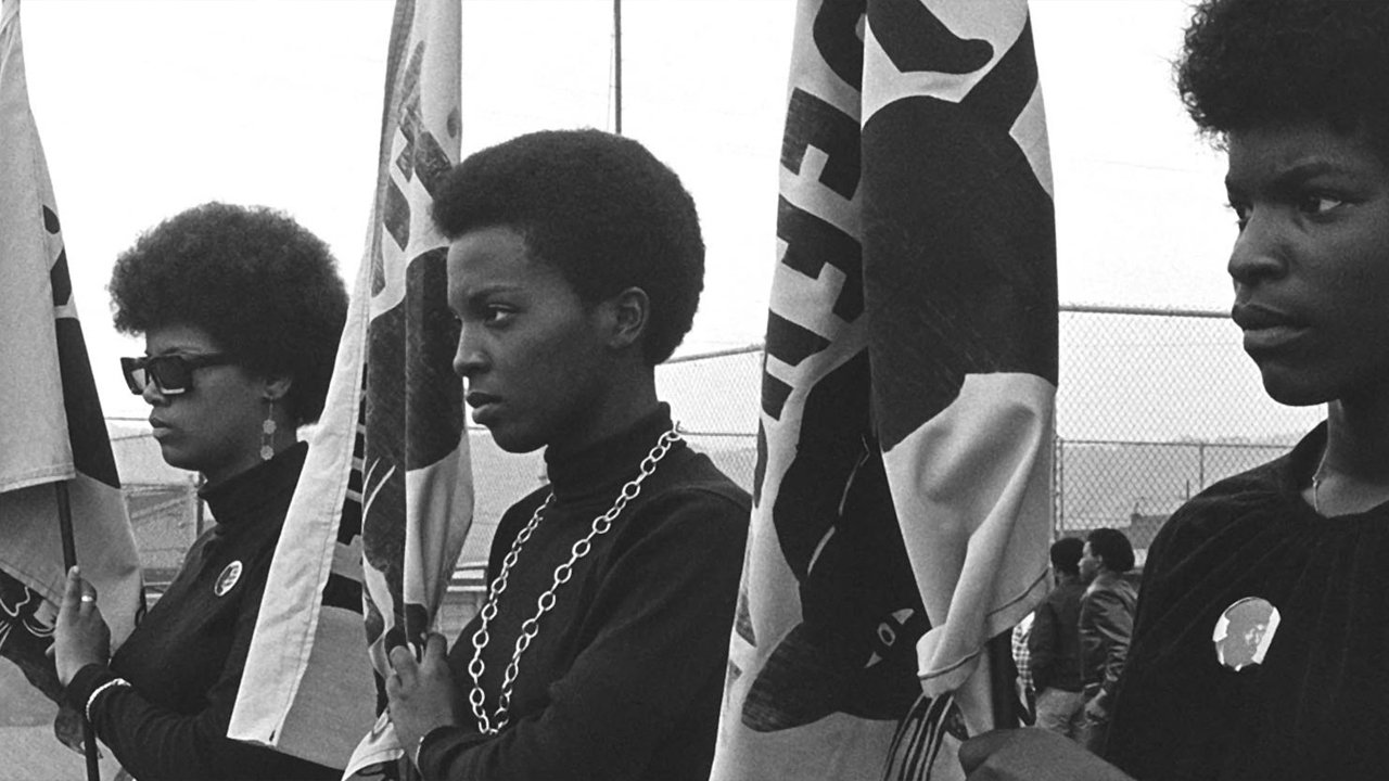 Backdrop for The Black Panthers: Vanguard of the Revolution
