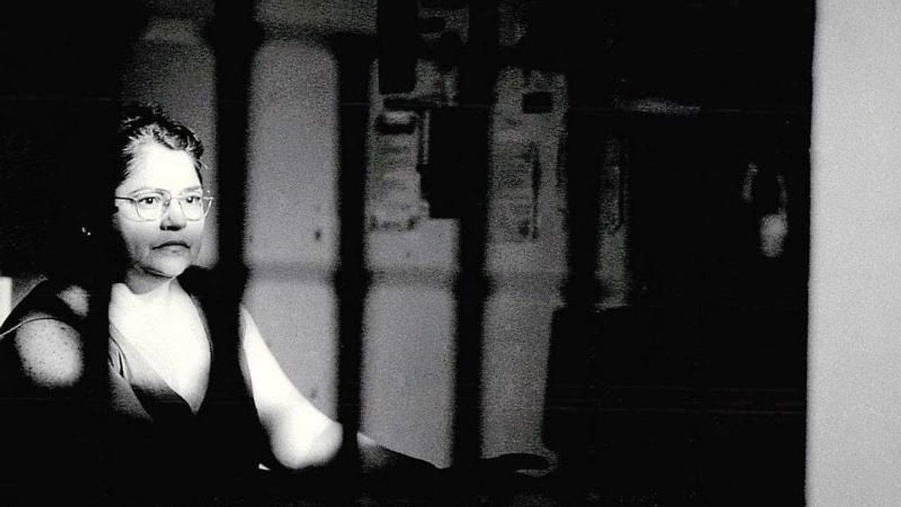 Backdrop for Socorro Nobre