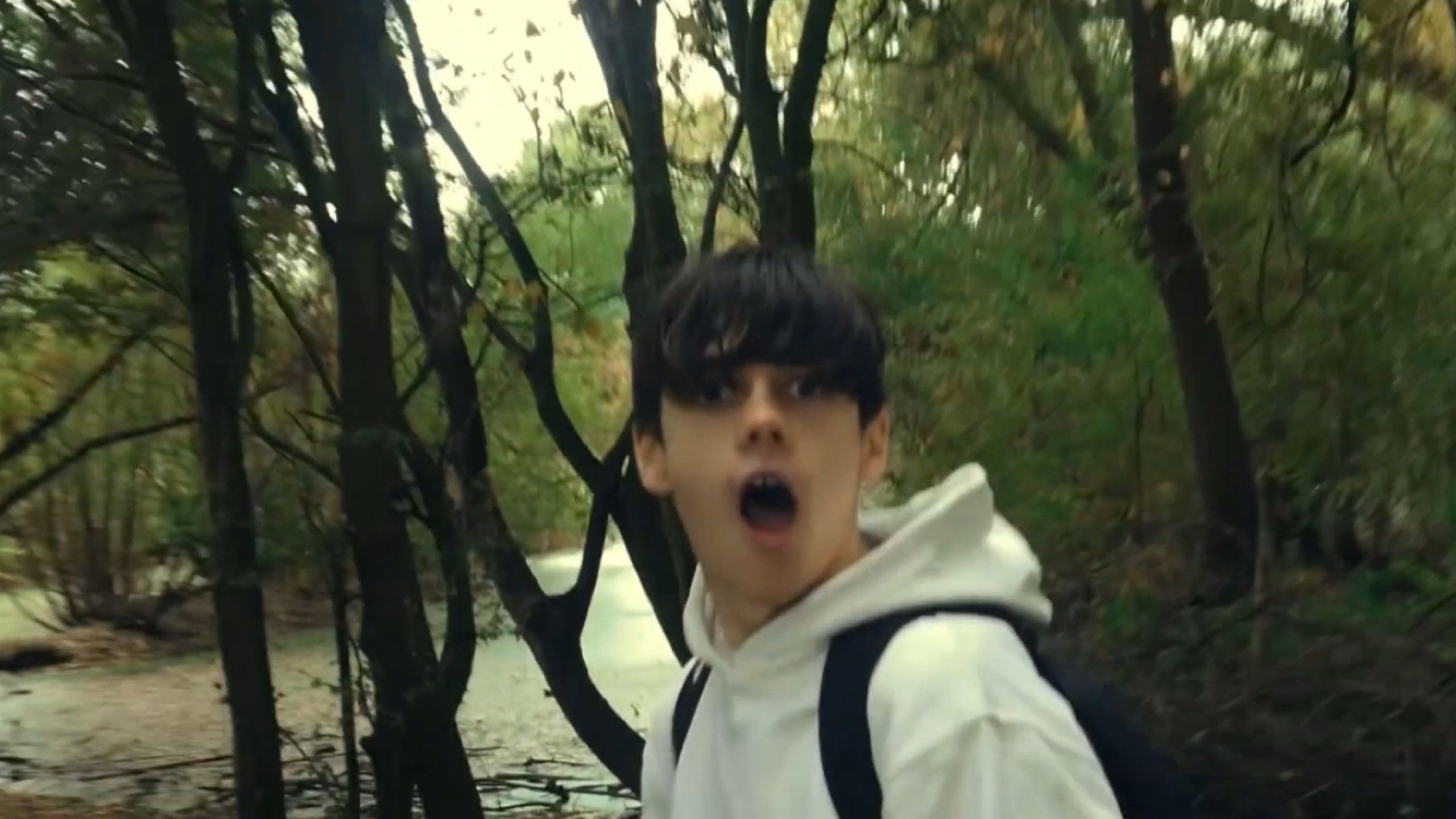 Backdrop for Uprising