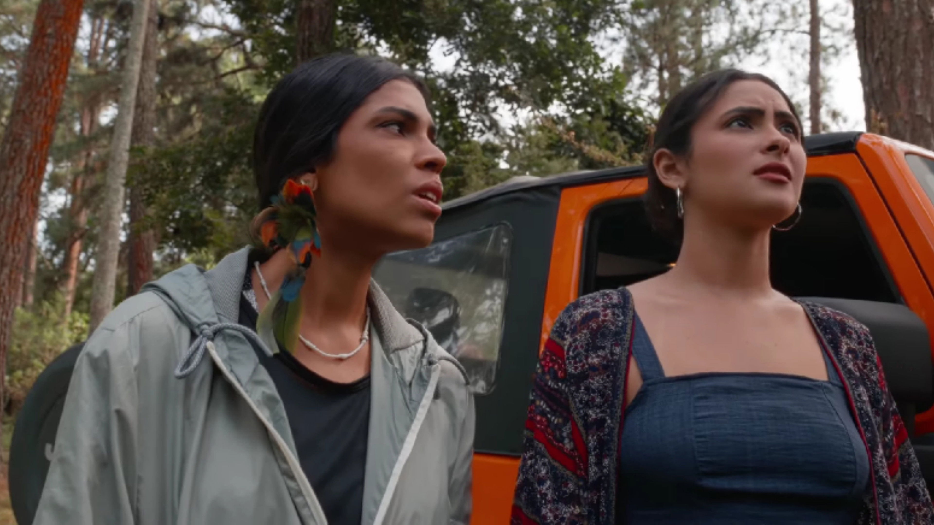 Backdrop for Vozes da Figueira