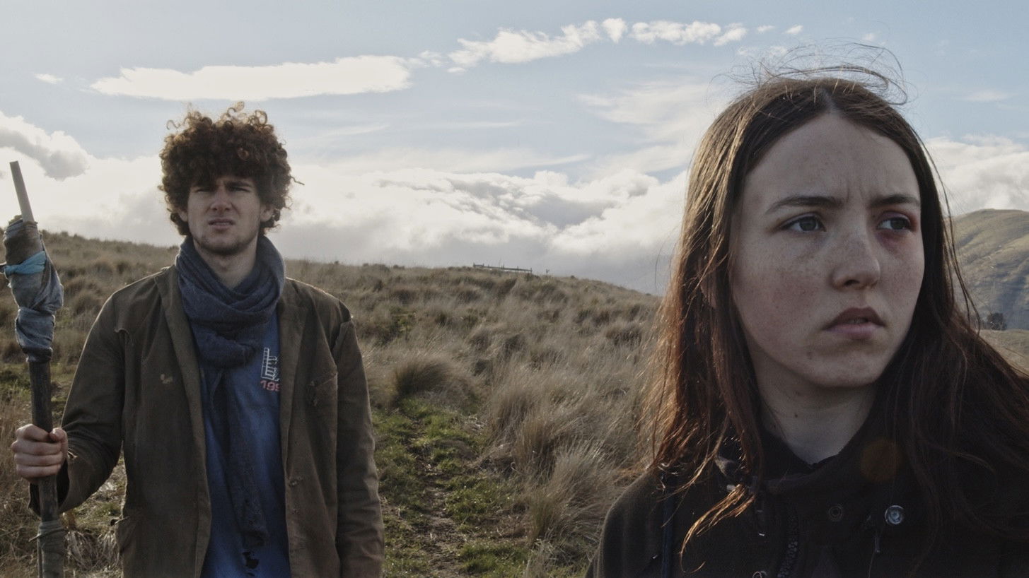 Backdrop for Pukeko Duck