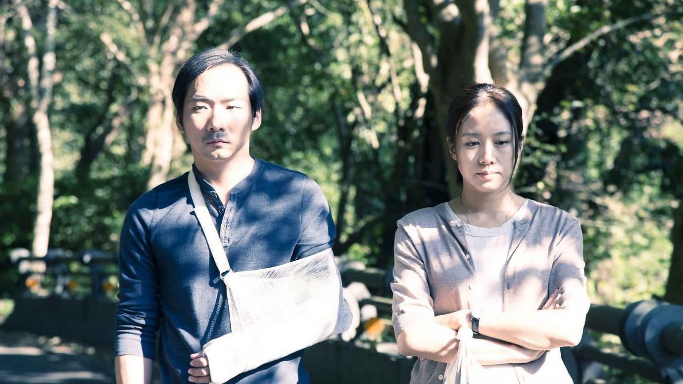 Backdrop for Zinnia Flower