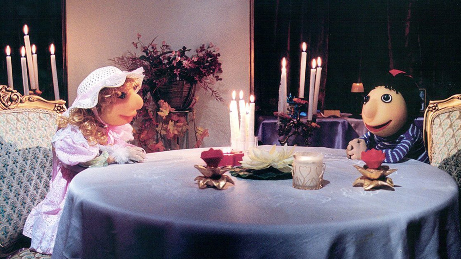 Backdrop for Redhat and Sarvenaz