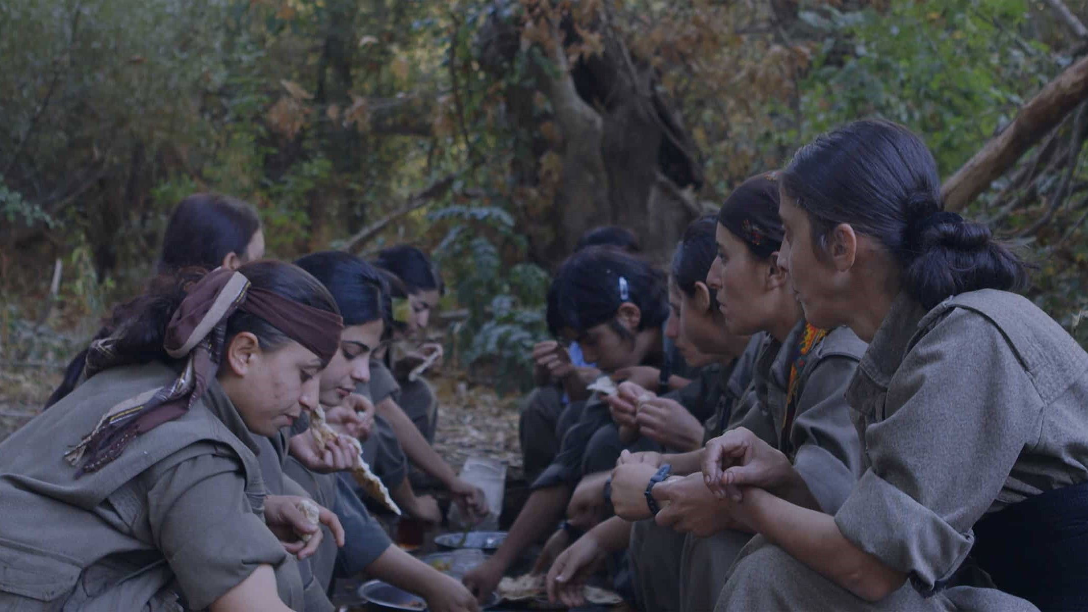 Backdrop for Gulîstan, Land of Roses