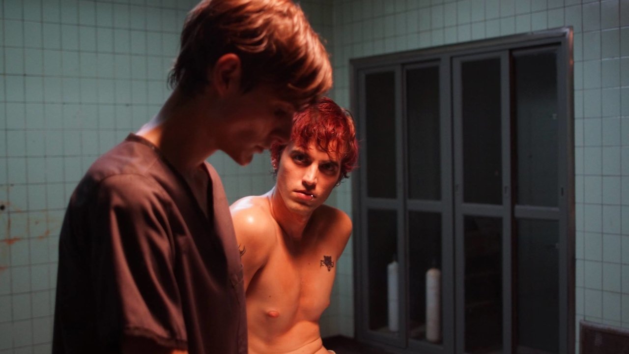 Backdrop for We Are Animals