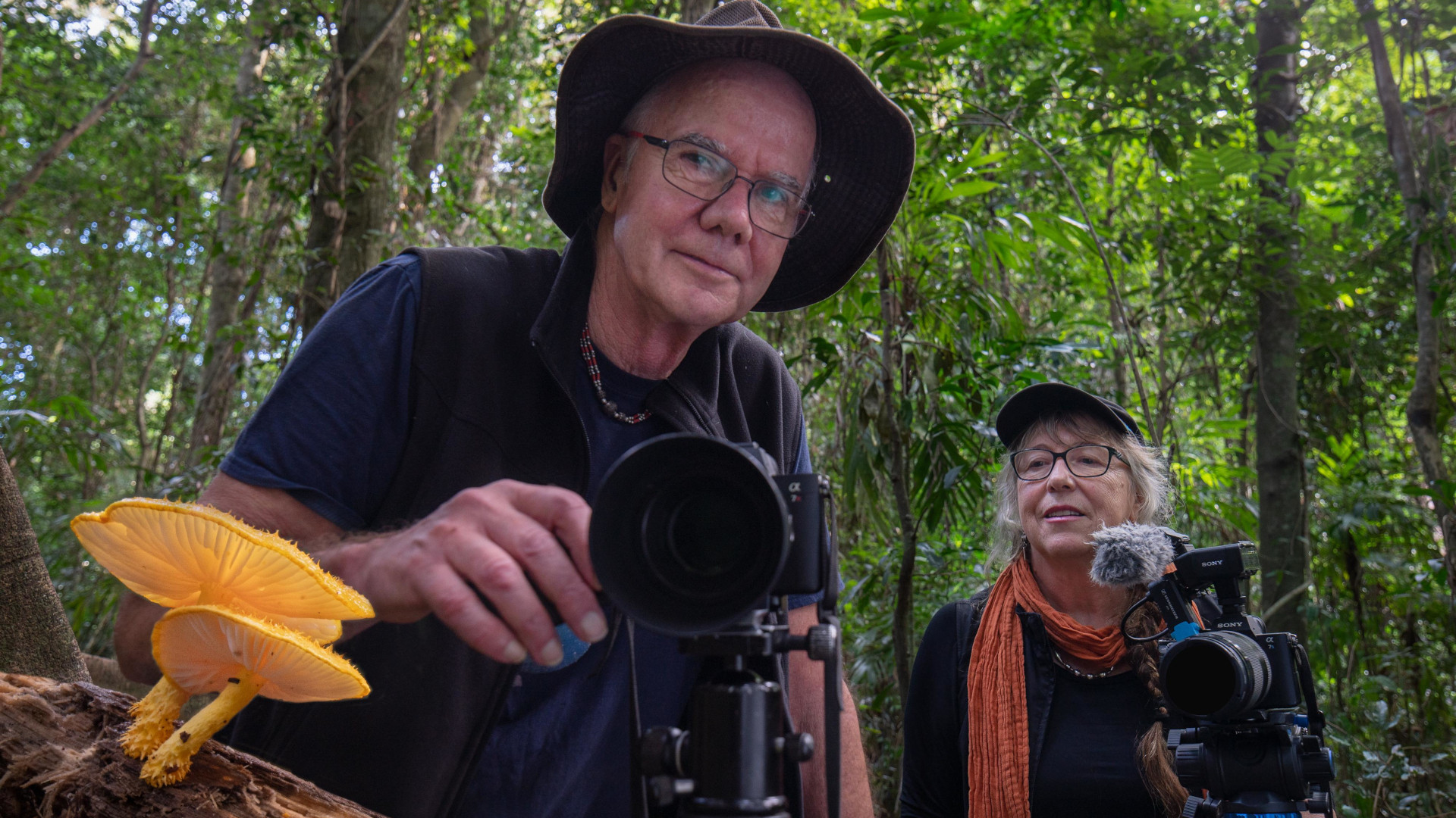Backdrop for Follow the Rain