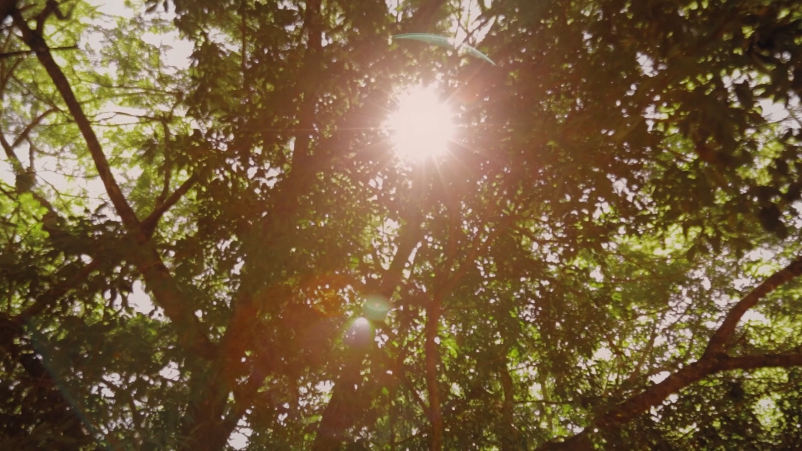 Backdrop for Criadores de Saci