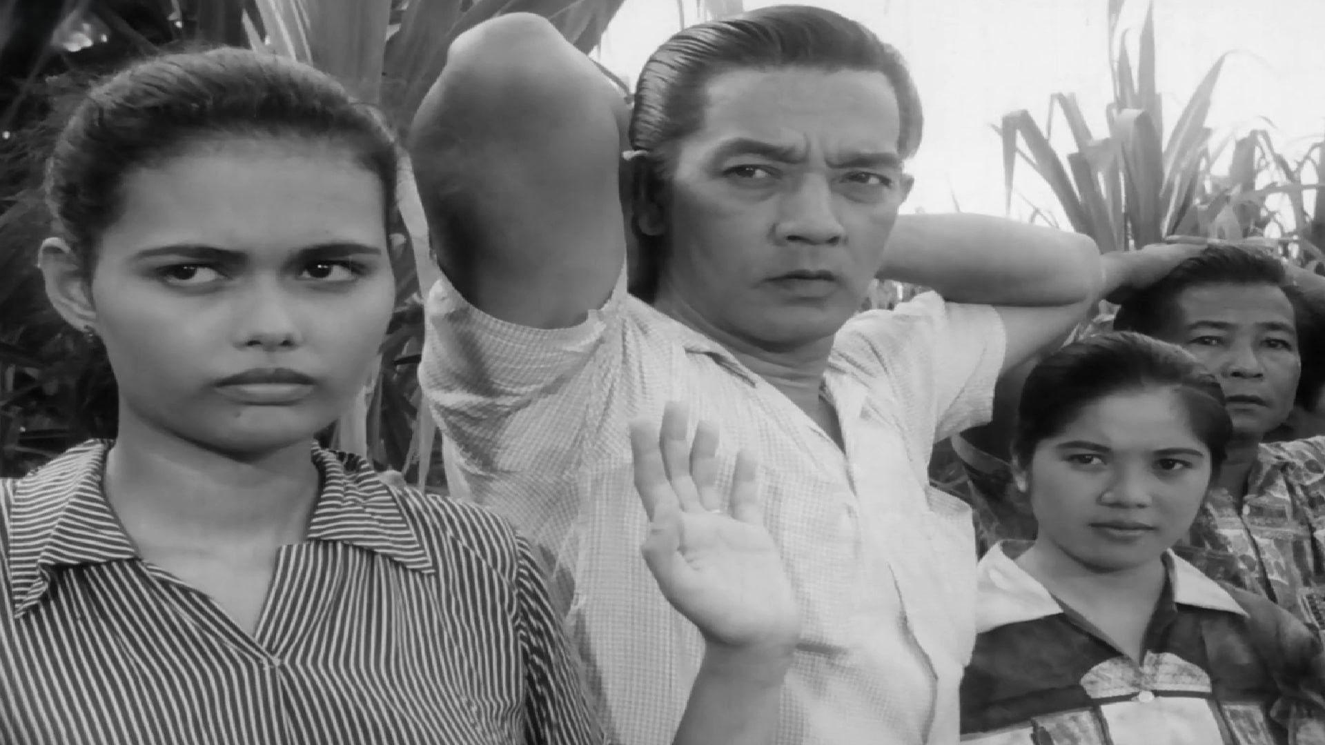 Backdrop for The Moises Padilla Story