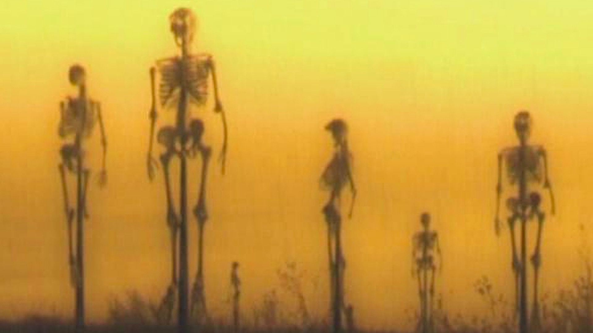 Backdrop for Visions of Suffering