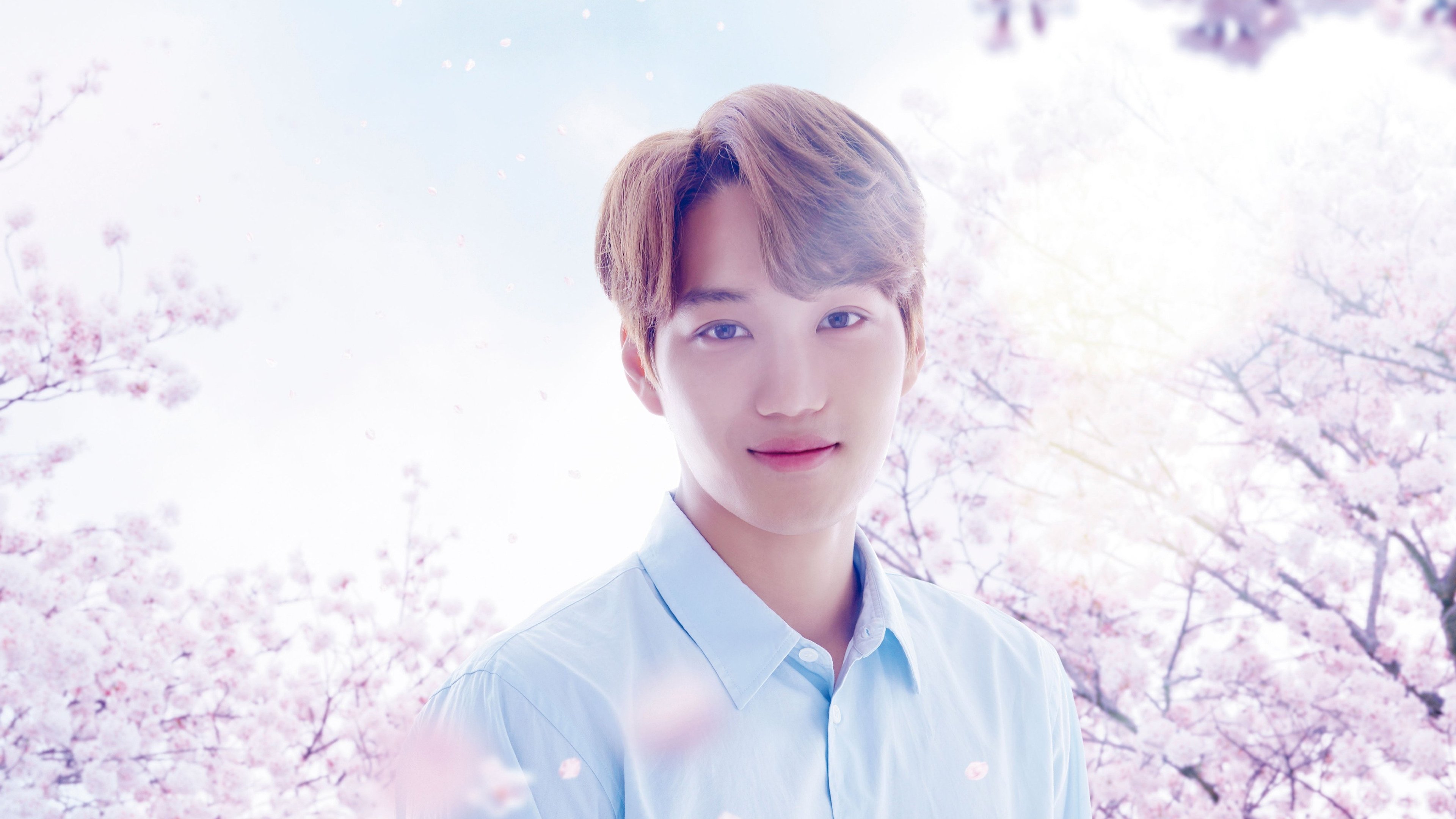 Backdrop for Spring Has Come