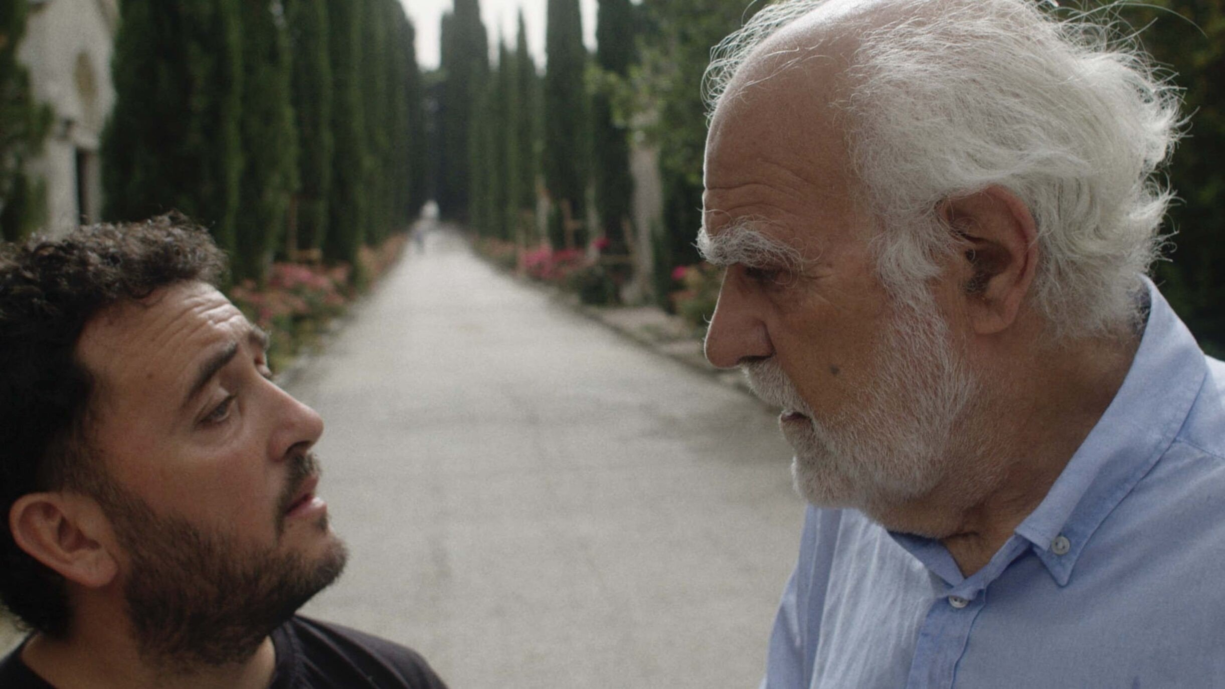 Backdrop for Il figlio più bello