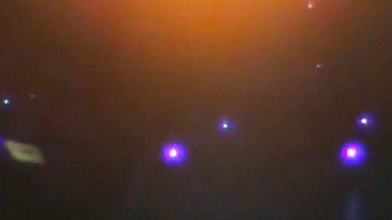 Backdrop for _anavosvinei