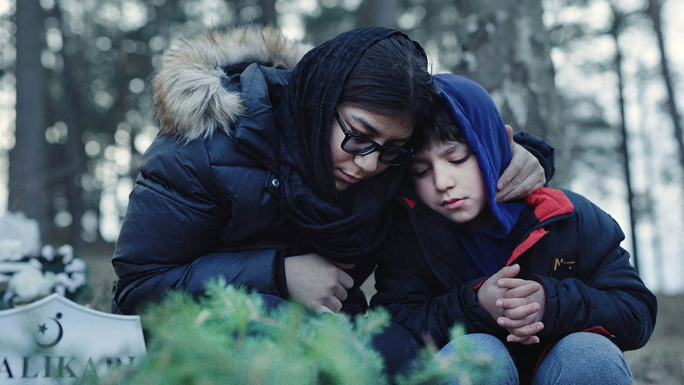 Backdrop for Silent Trees